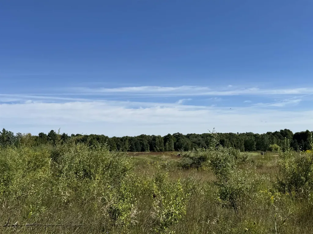 4835 Prestwick Court Acme Township MI 49690