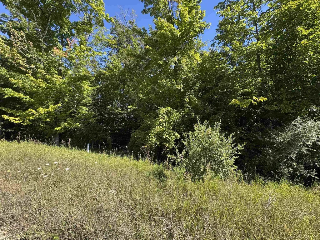 4835 Prestwick Court Acme Township MI 49690