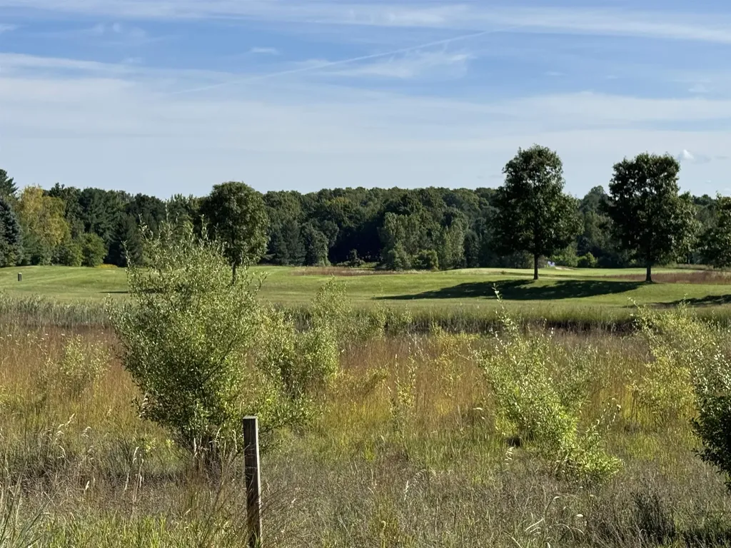 4835 Prestwick Court Acme Township MI 49690