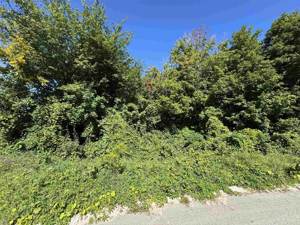 7765 Turnberry Circle Acme Township MI 49690