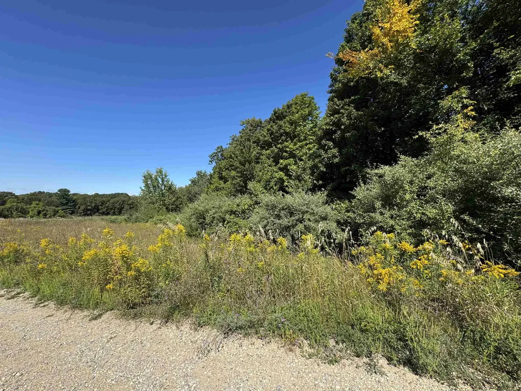 7765 Turnberry Circle Acme Township MI 49690