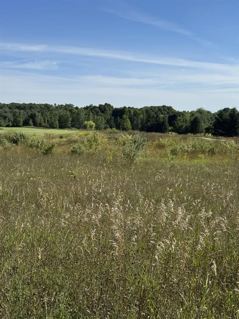 4867 Prestwick Court Acme Township MI 49690