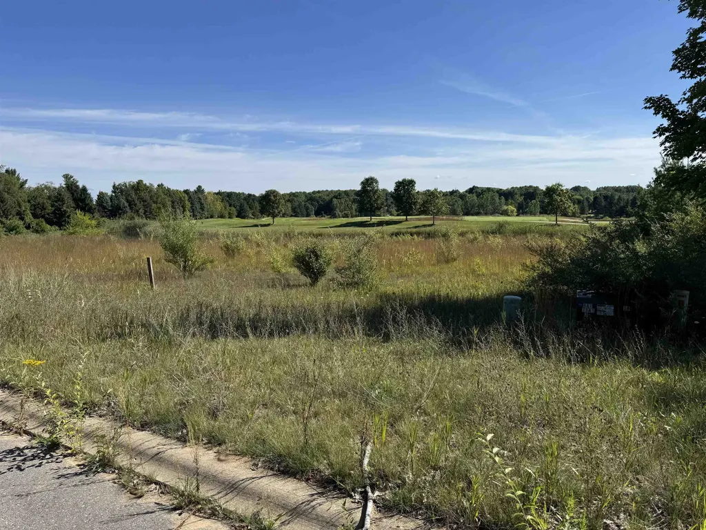 4867 Prestwick Court Acme Township MI 49690