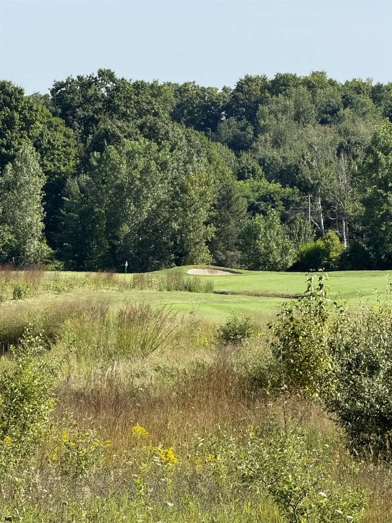 4867 Prestwick Court Acme Township MI 49690