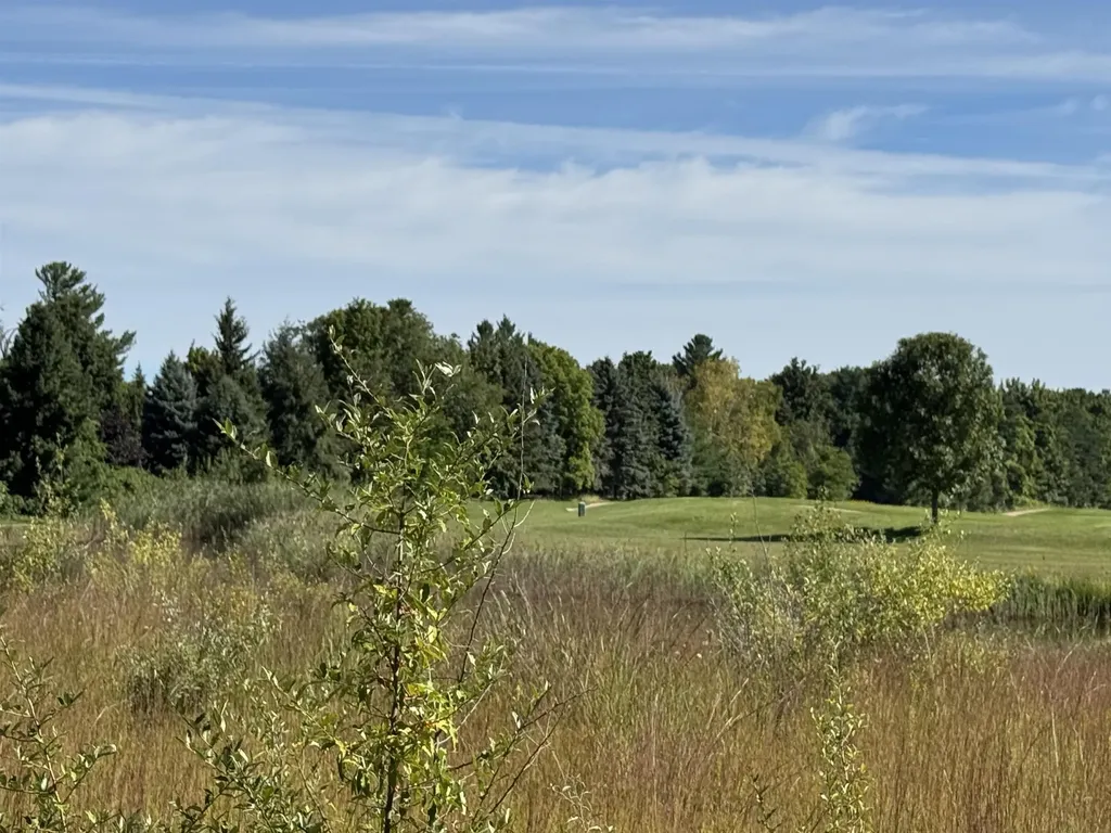 4829 Prestwick Court Acme Township MI 49690
