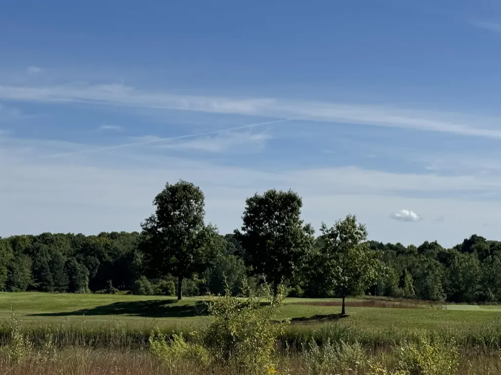 4829 Prestwick Court Acme Township MI 49690