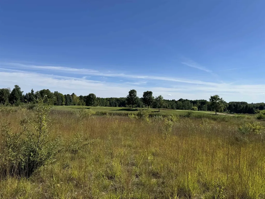 4829 Prestwick Court Acme Township MI 49690