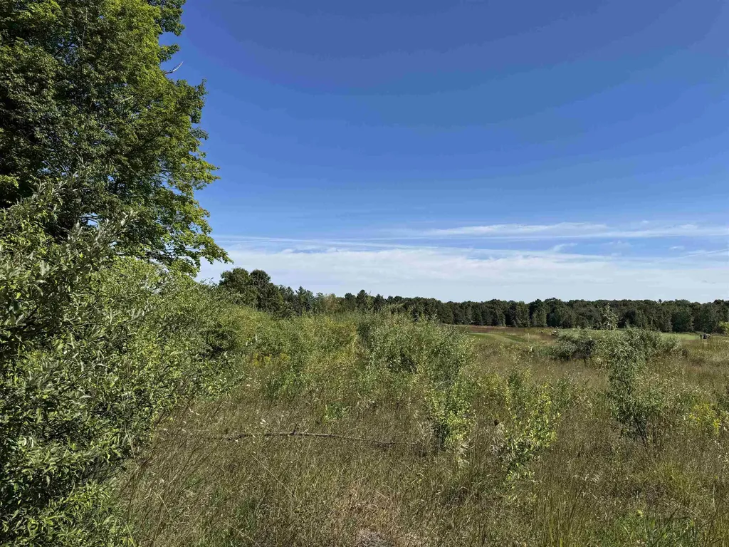 4829 Prestwick Court Acme Township MI 49690