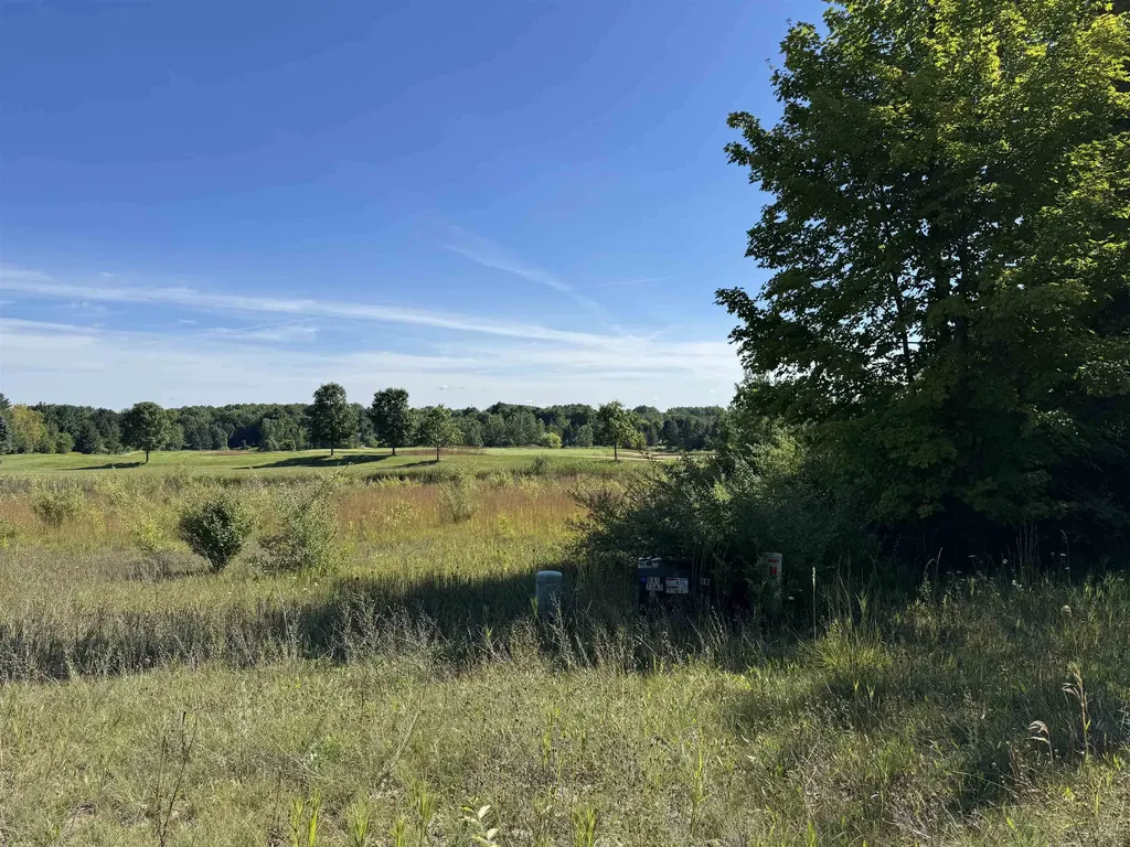 4843 Prestwick Court Acme Township MI 49690