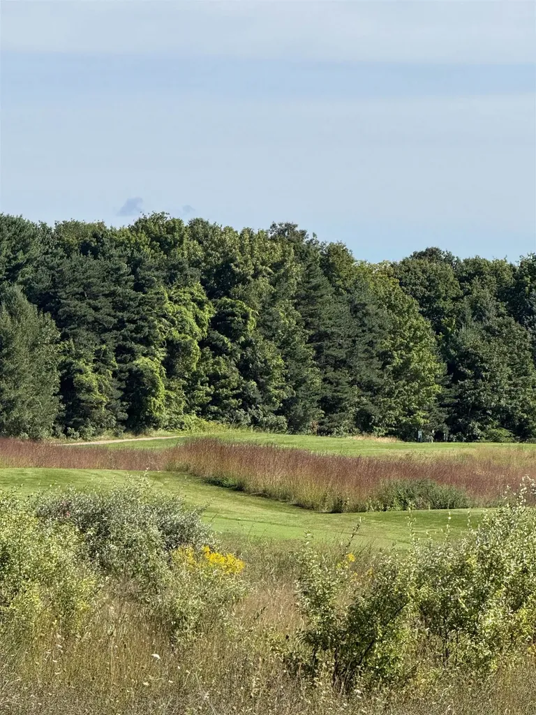 4843 Prestwick Court Acme Township MI 49690