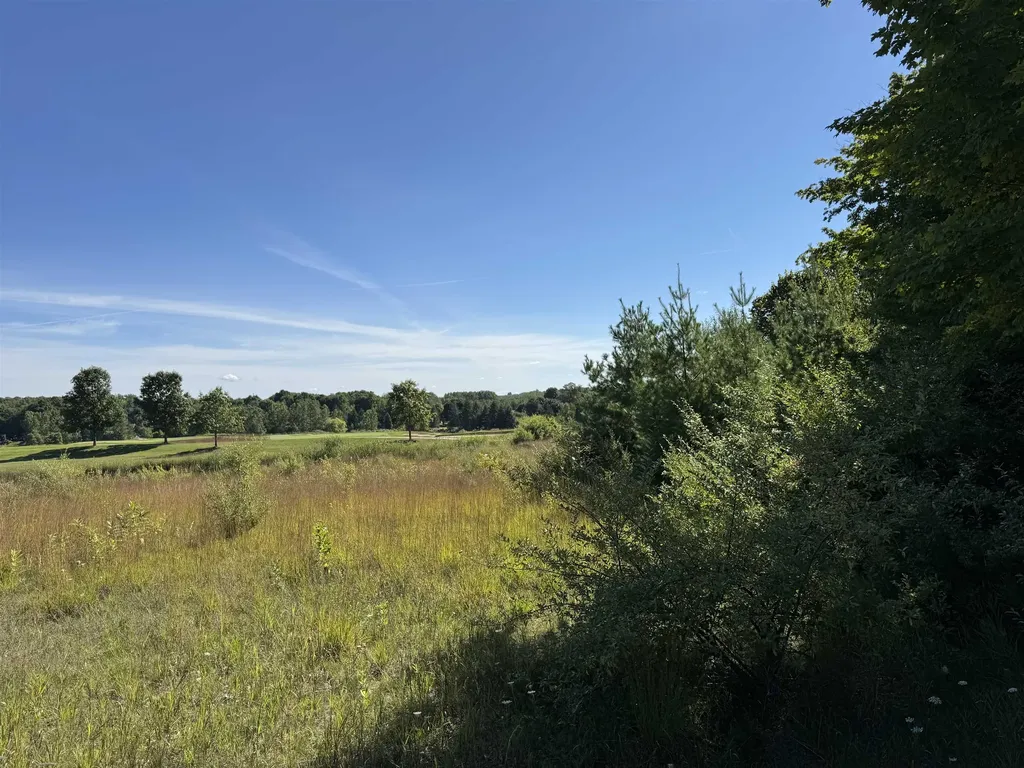 4843 Prestwick Court Acme Township MI 49690