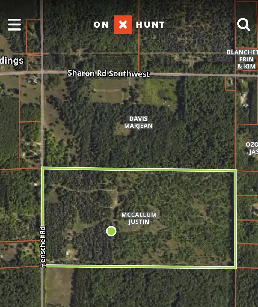 0 Henschell Road Garfield Township MI 49633