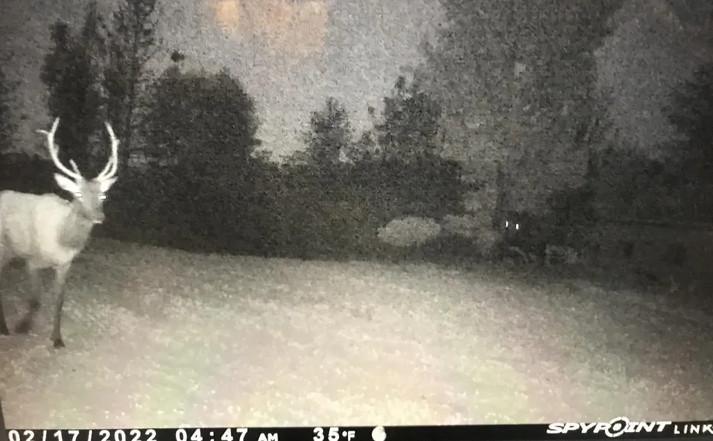 0 Henschell Road Garfield Township MI 49633