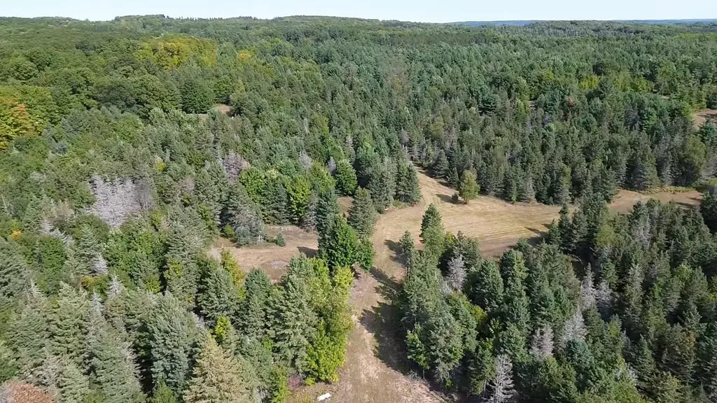 0 Henschell Road Garfield Township MI 49633
