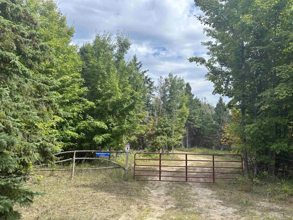 0 Henschell Road Garfield Township MI 49633
