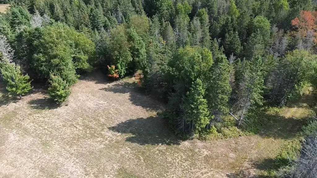 0 Henschell Road Garfield Township MI 49633