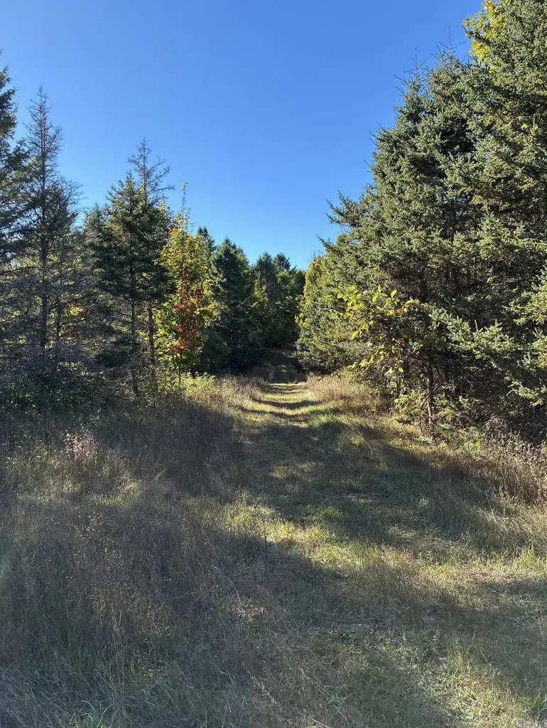 0 Henschell Road Garfield Township MI 49633