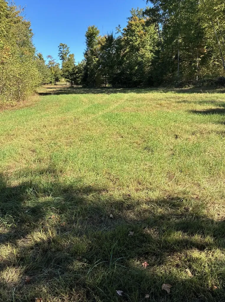 0 Henschell Road Garfield Township MI 49633