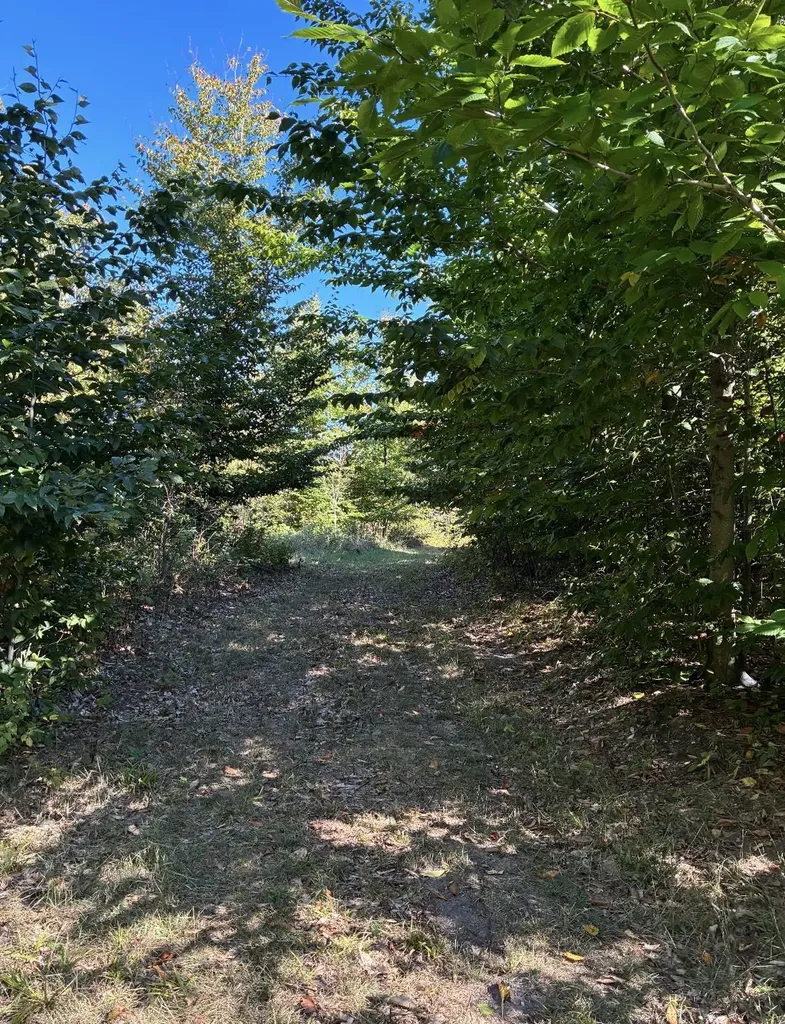 0 Henschell Road Garfield Township MI 49633