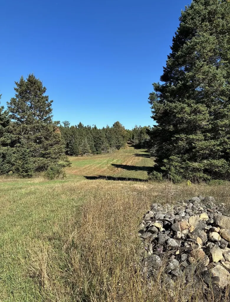 0 Henschell Road Garfield Township MI 49633