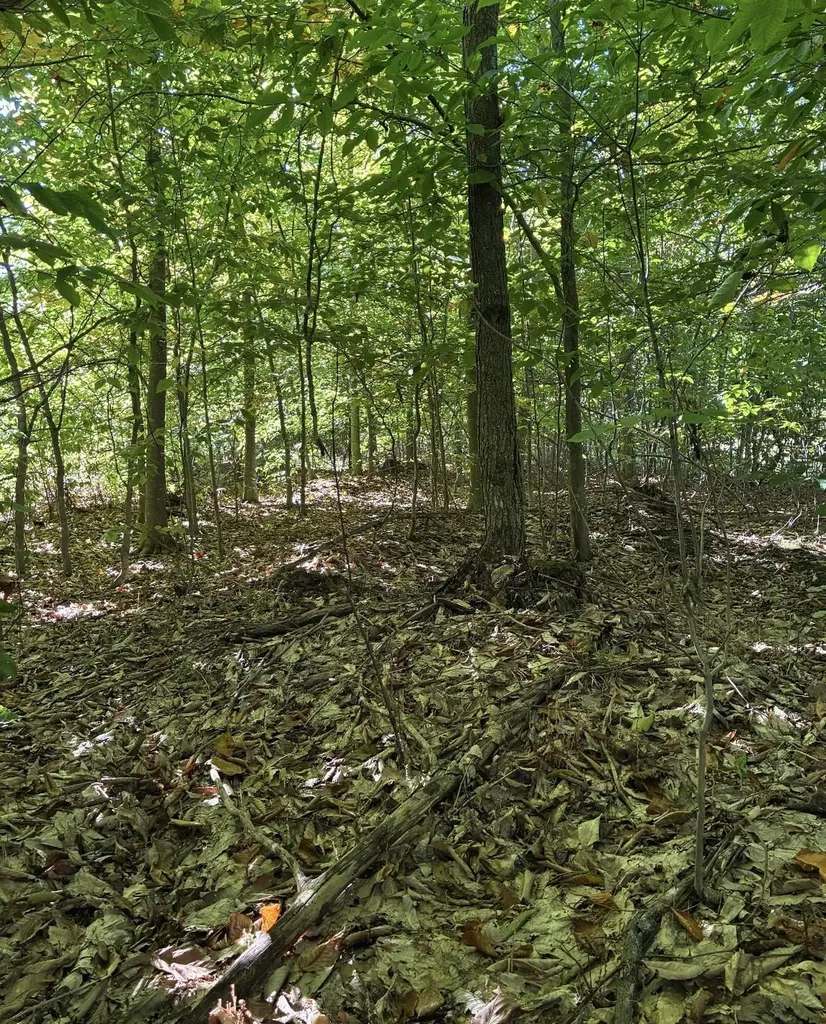 0 Henschell Road Garfield Township MI 49633