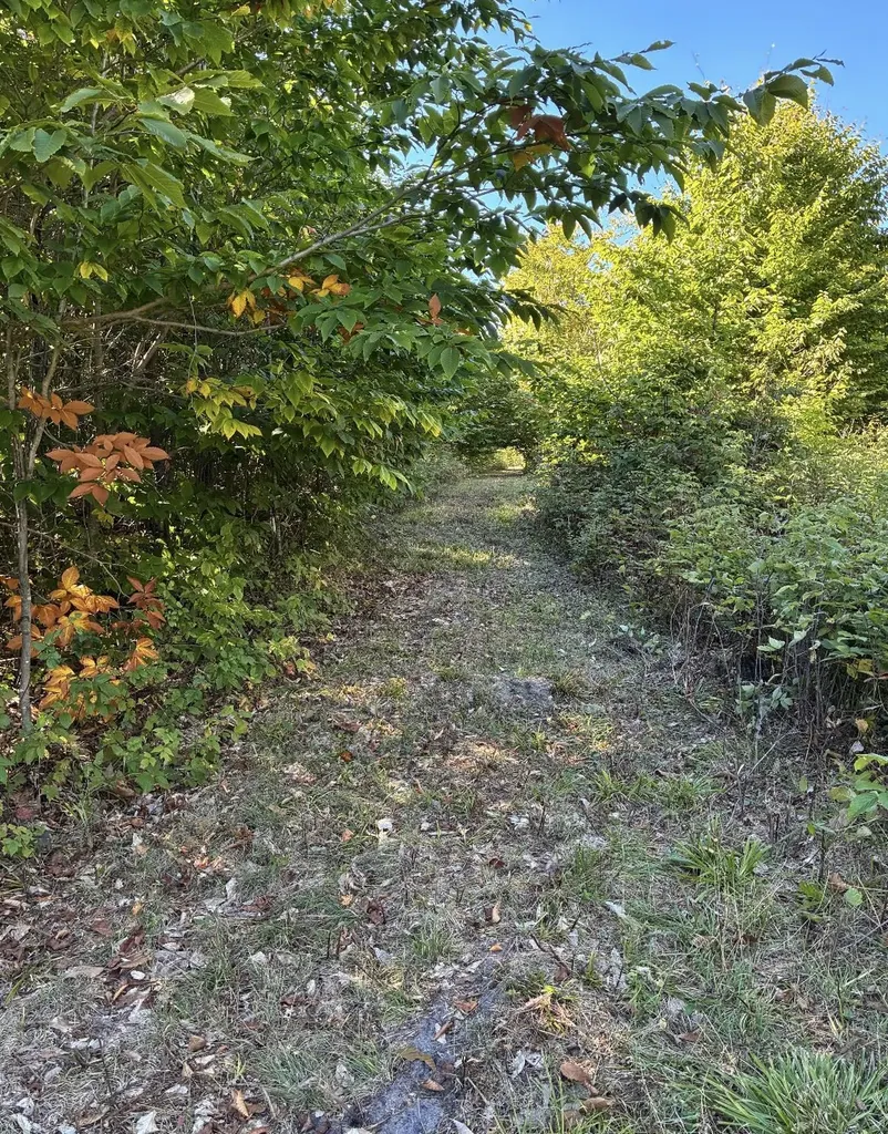0 Henschell Road Garfield Township MI 49633