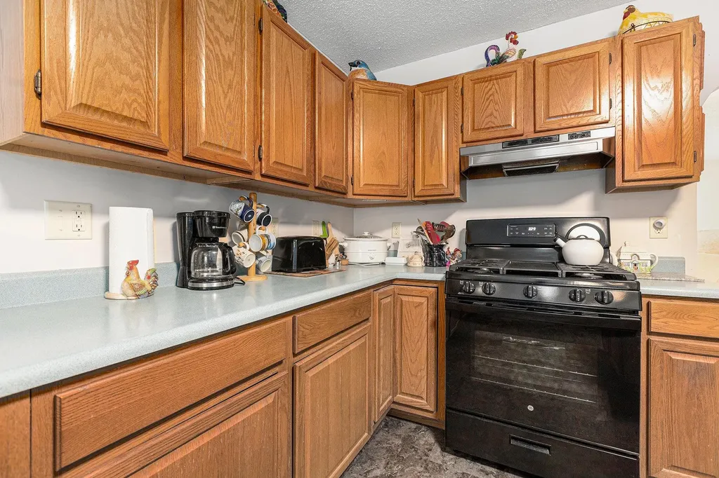 519 Lake Street Crystal Lake Township MI 49635