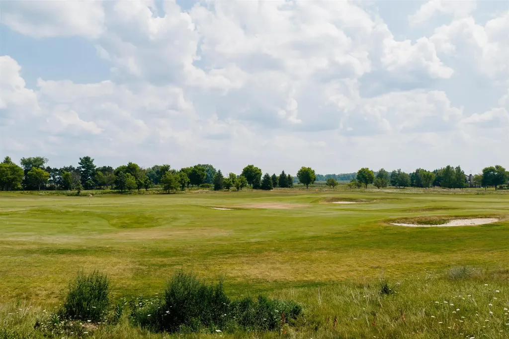 4170 Dornoch Court Acme Township MI 49690