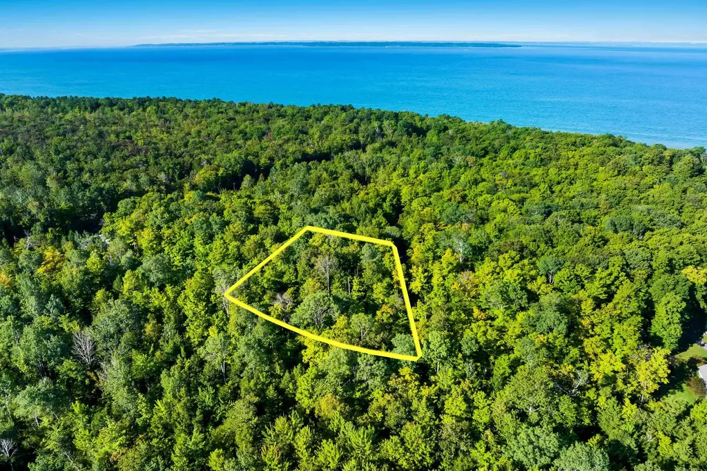 #2 Aspen Trail Torch Lake Township MI 49648