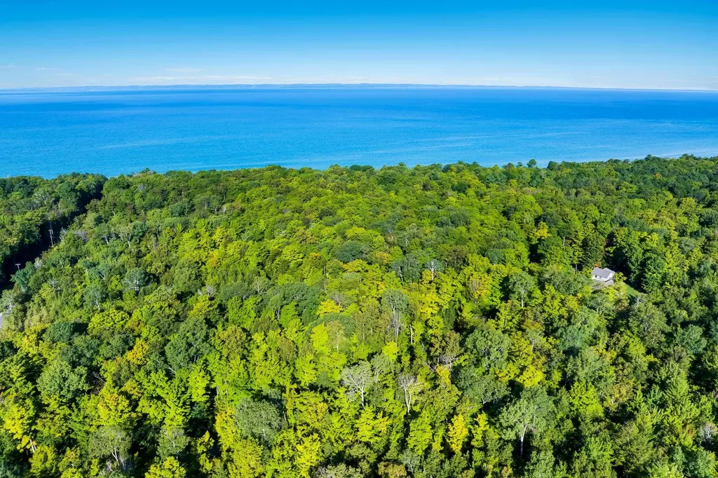 #2 Aspen Trail Torch Lake Township MI 49648