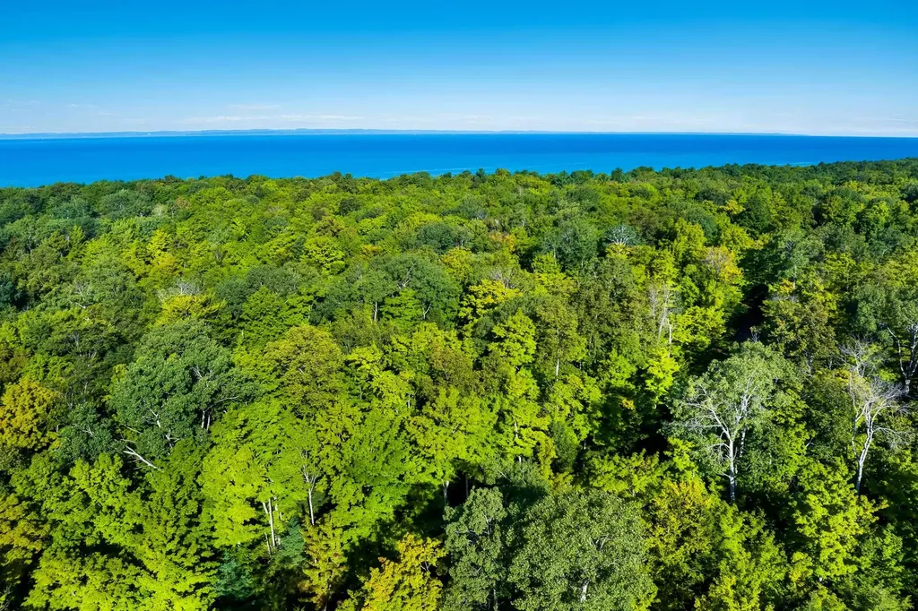 #2 Aspen Trail Torch Lake Township MI 49648