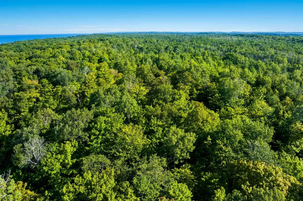 #2 Aspen Trail Torch Lake Township MI 49648