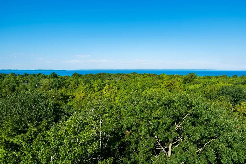 #2 Aspen Trail Torch Lake Township MI 49648