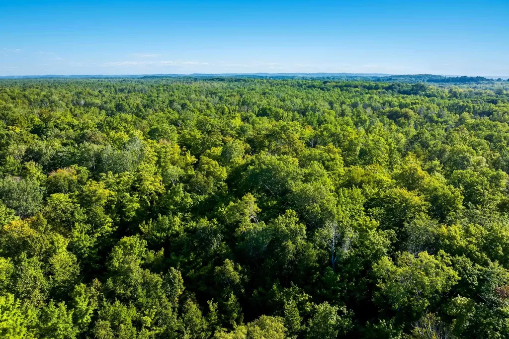 #2 Aspen Trail Torch Lake Township MI 49648