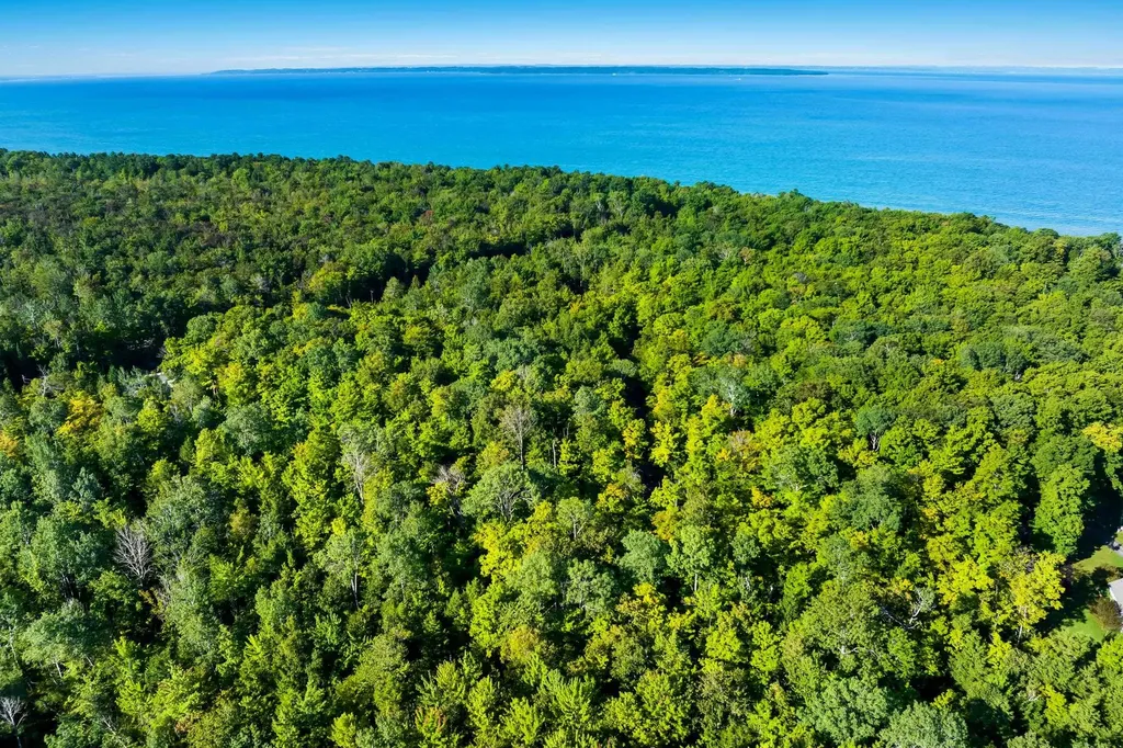 #2 Aspen Trail Torch Lake Township MI 49648