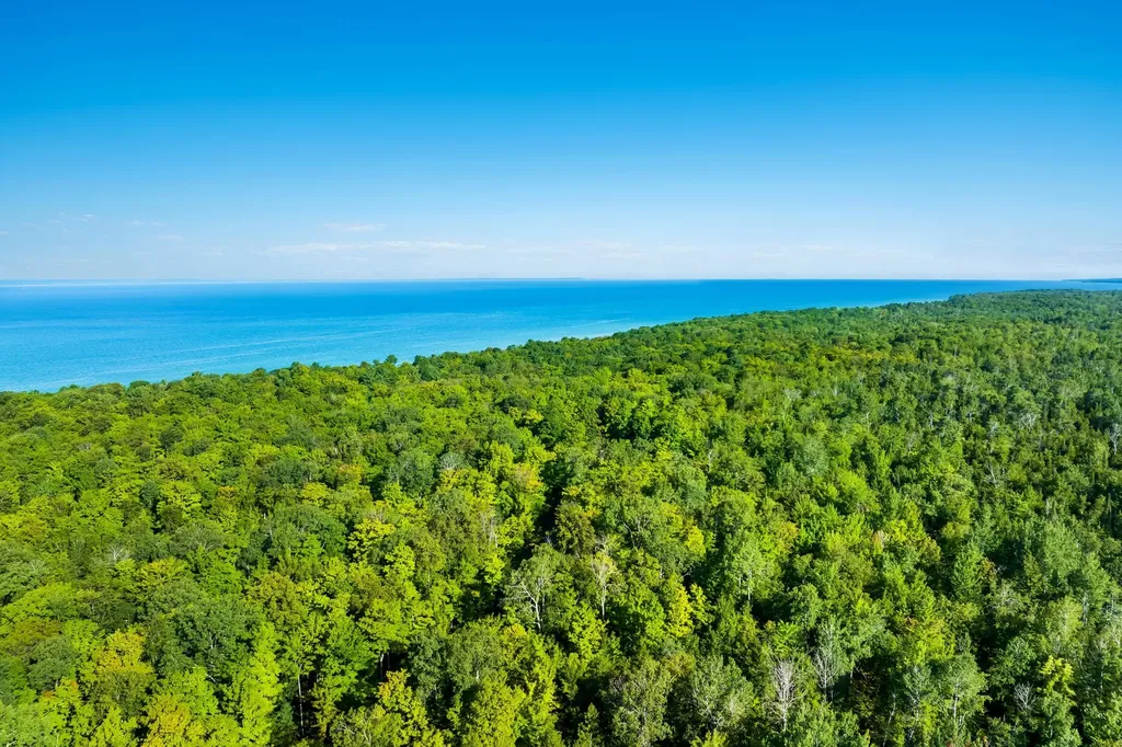 #2 Aspen Trail Torch Lake Township MI 49648