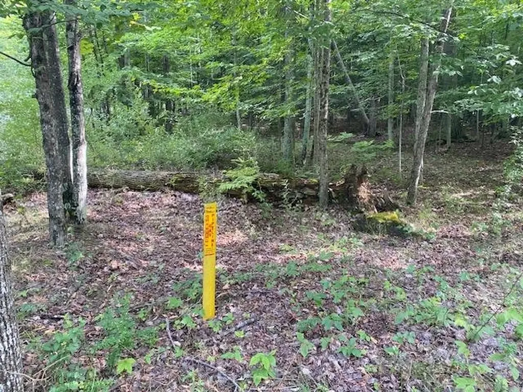 #2 Aspen Trail Torch Lake Township MI 49648