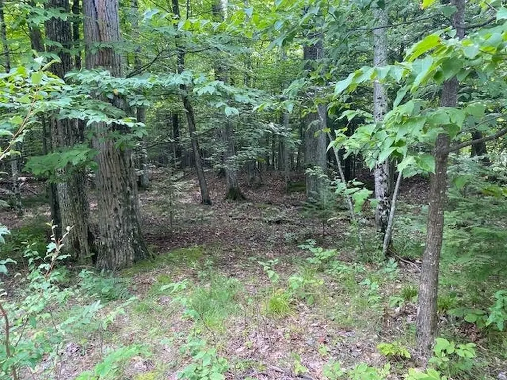 #2 Aspen Trail Torch Lake Township MI 49648