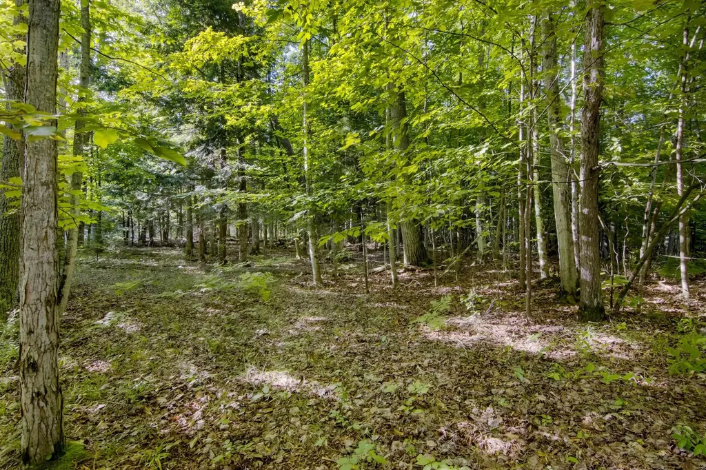 #2 Aspen Trail Torch Lake Township MI 49648