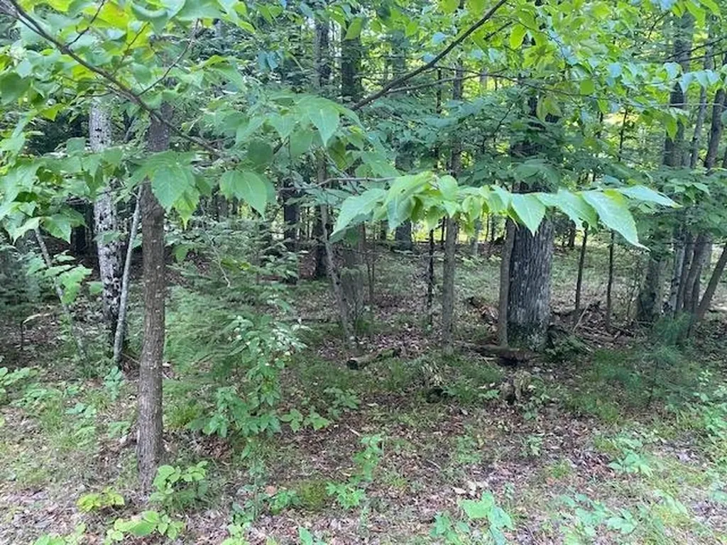 #2 Aspen Trail Torch Lake Township MI 49648