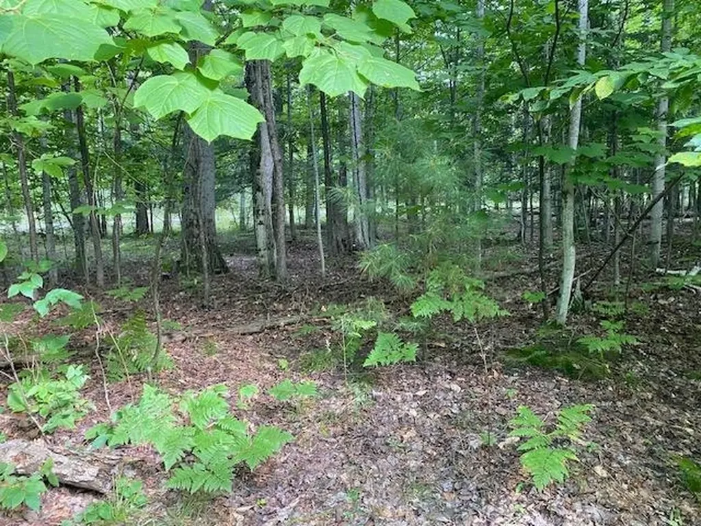 #2 Aspen Trail Torch Lake Township MI 49648