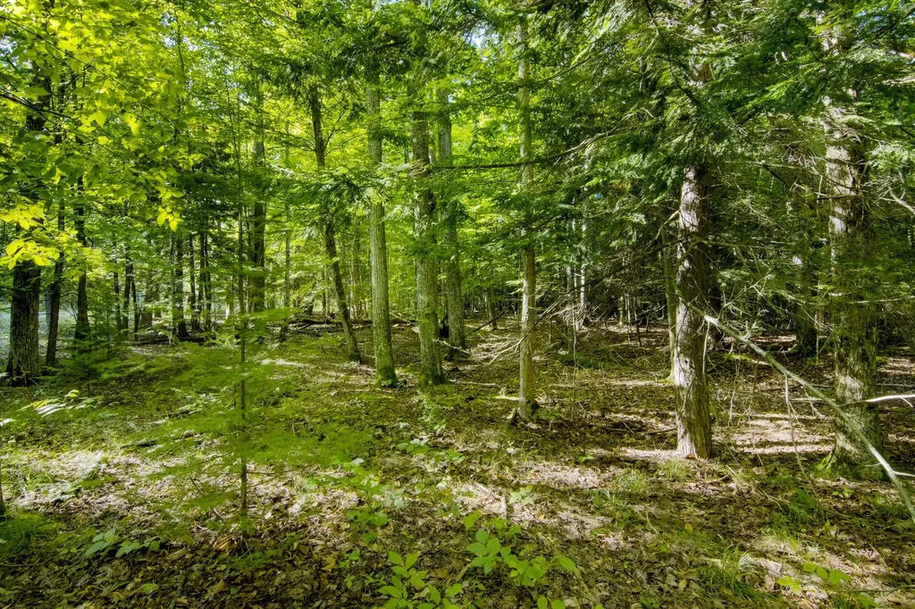 #2 Aspen Trail Torch Lake Township MI 49648