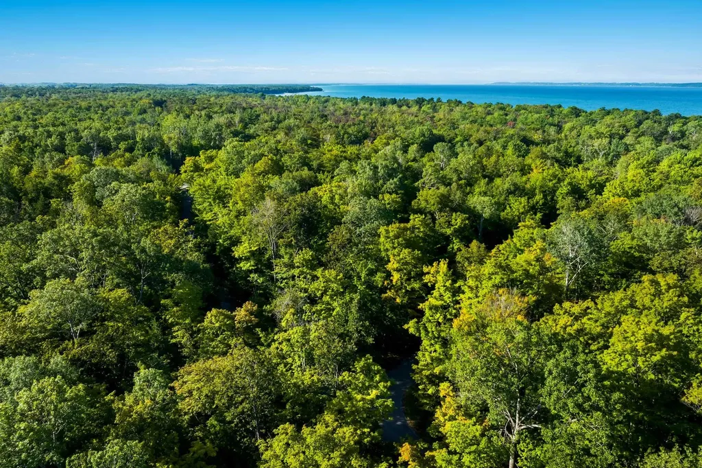 #2 Aspen Trail Torch Lake Township MI 49648