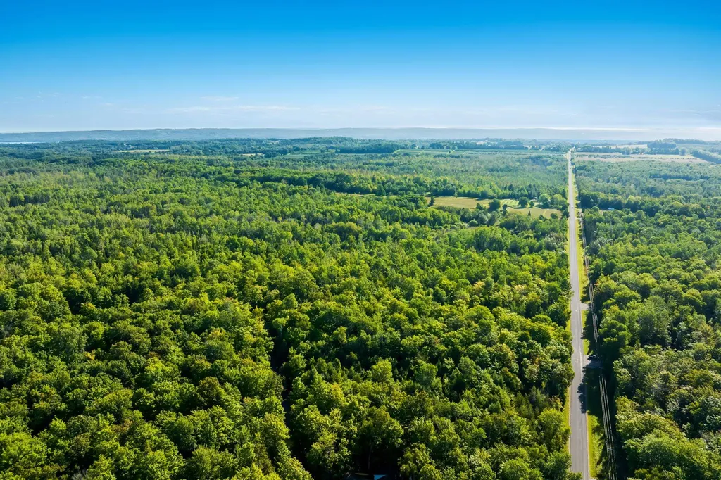 #2 Aspen Trail Torch Lake Township MI 49648
