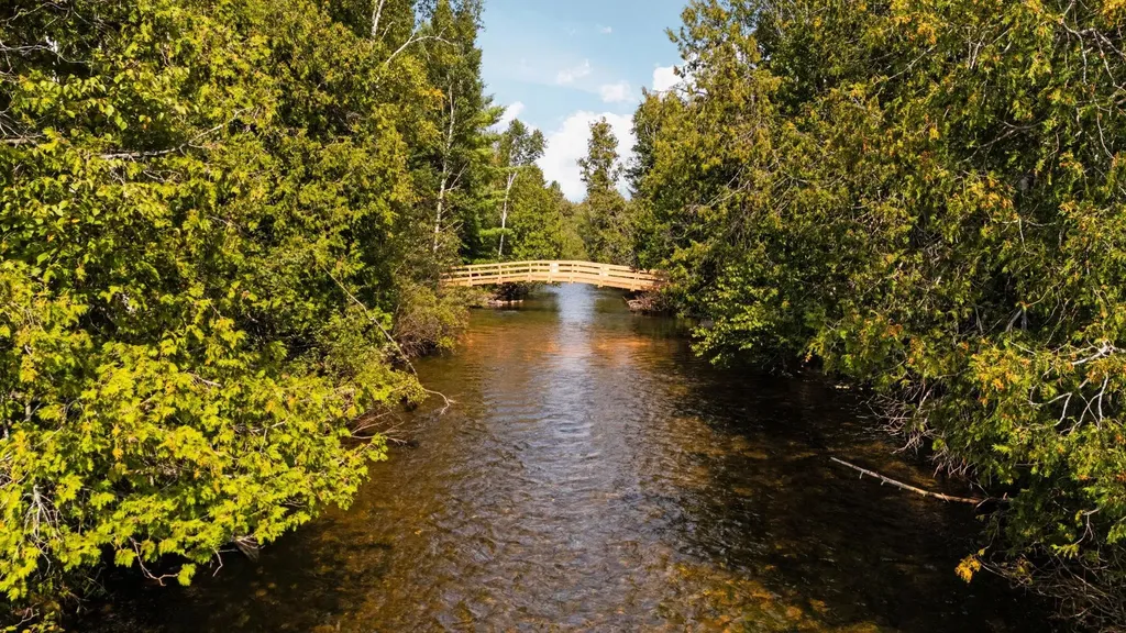6841 Brown Bridge Road Union Township MI 49696