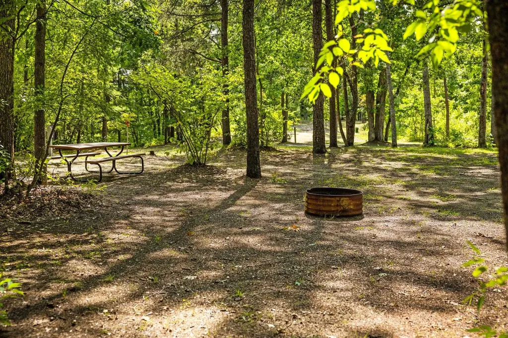 6841 Brown Bridge Road Union Township MI 49696