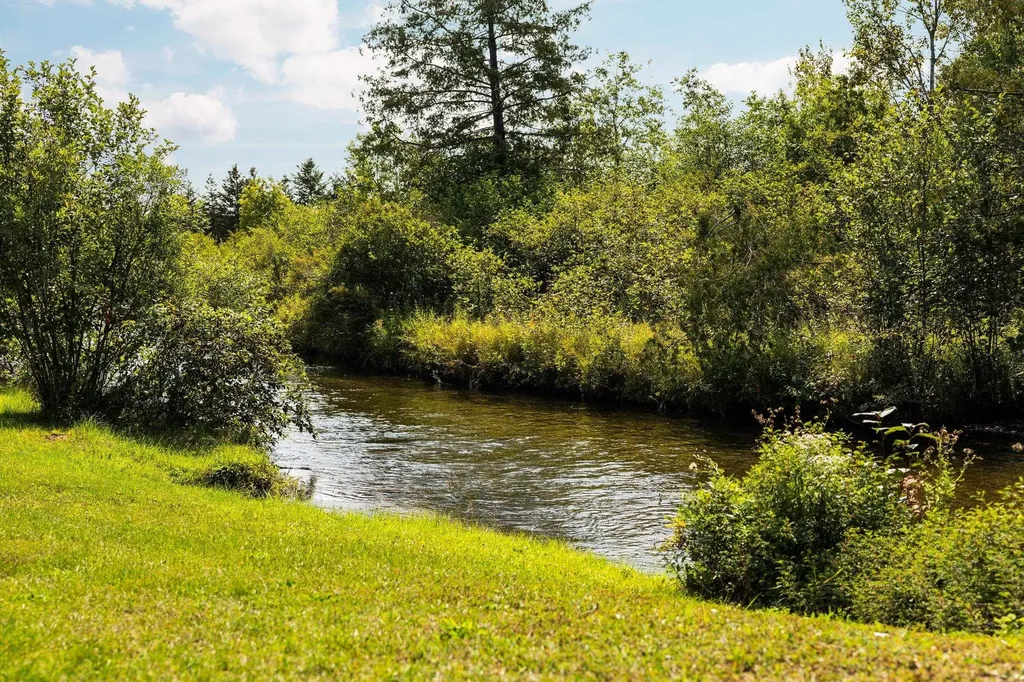 6841 Brown Bridge Road Union Township MI 49696