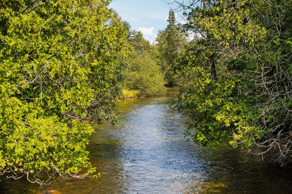 6841 Brown Bridge Road Union Township MI 49696