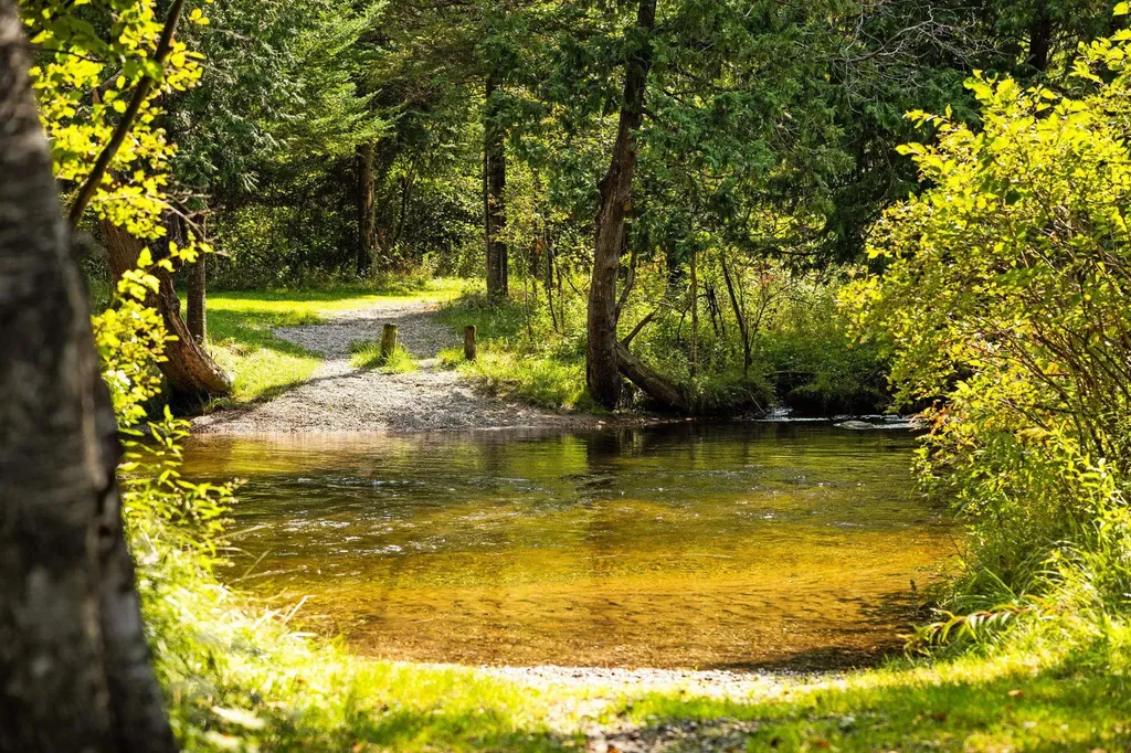 6841 Brown Bridge Road Union Township MI 49696
