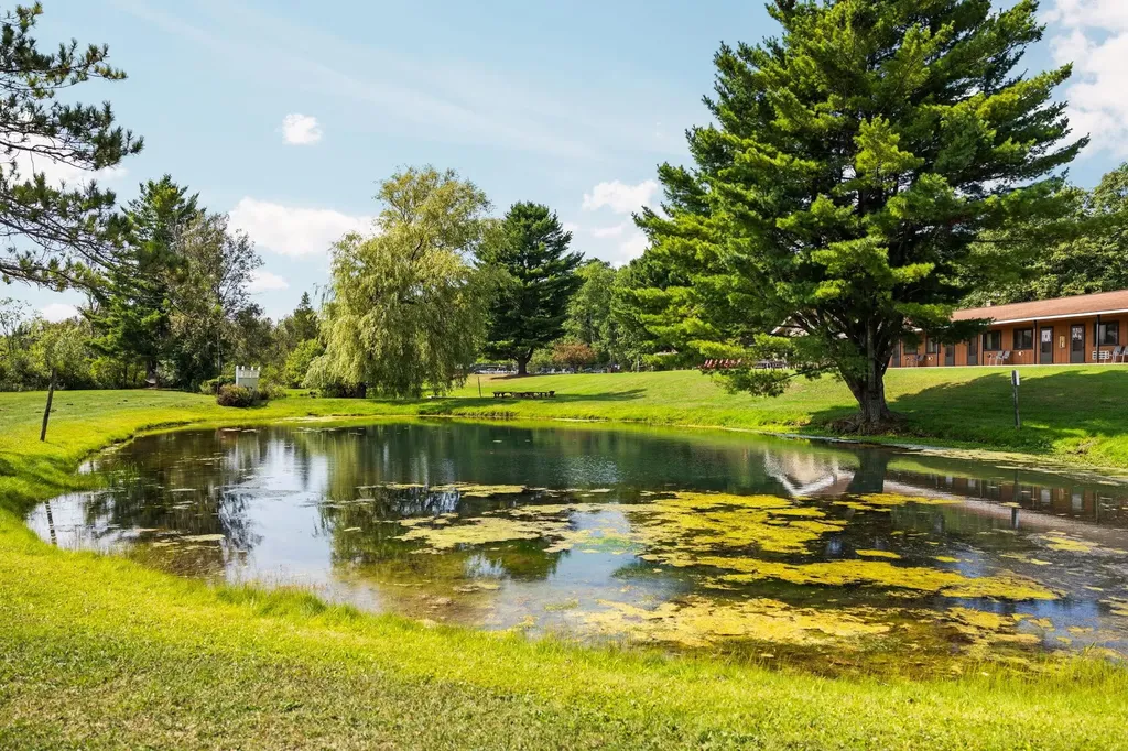 6841 Brown Bridge Road Union Township MI 49696